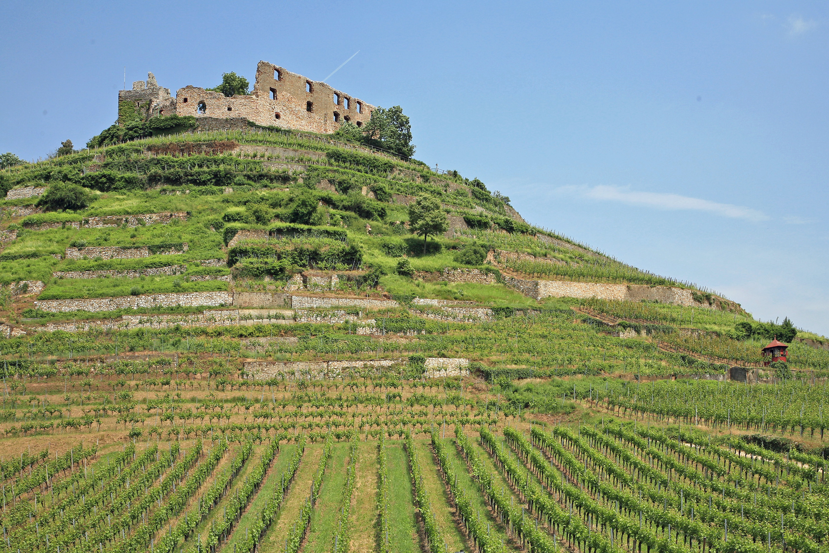 Blick auf Staufen im Breisgau – hundefreundliche Region rund um Camping Belchenblick