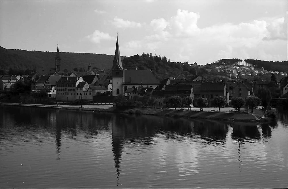 Blick auf Neckargemünd – hundefreundliche Region rund um Unterm Dilsberg