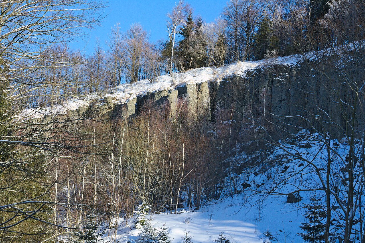 Basaltformation "Butterfässer" am Pöhlberg bei Annaberg-Buchholz, Sachsen – Wildtiergehege am Pöhlberg