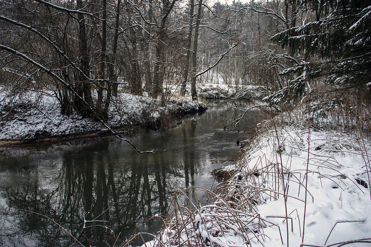 Schwarzach, Winter 2012/2013 – An der Schwarzach, Nürnberg