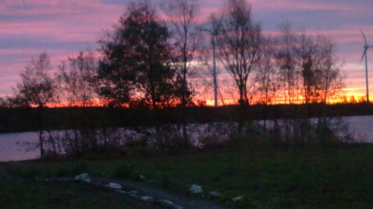 Sonnenaufgang – Hundewiese Neuländer See, Hamburg