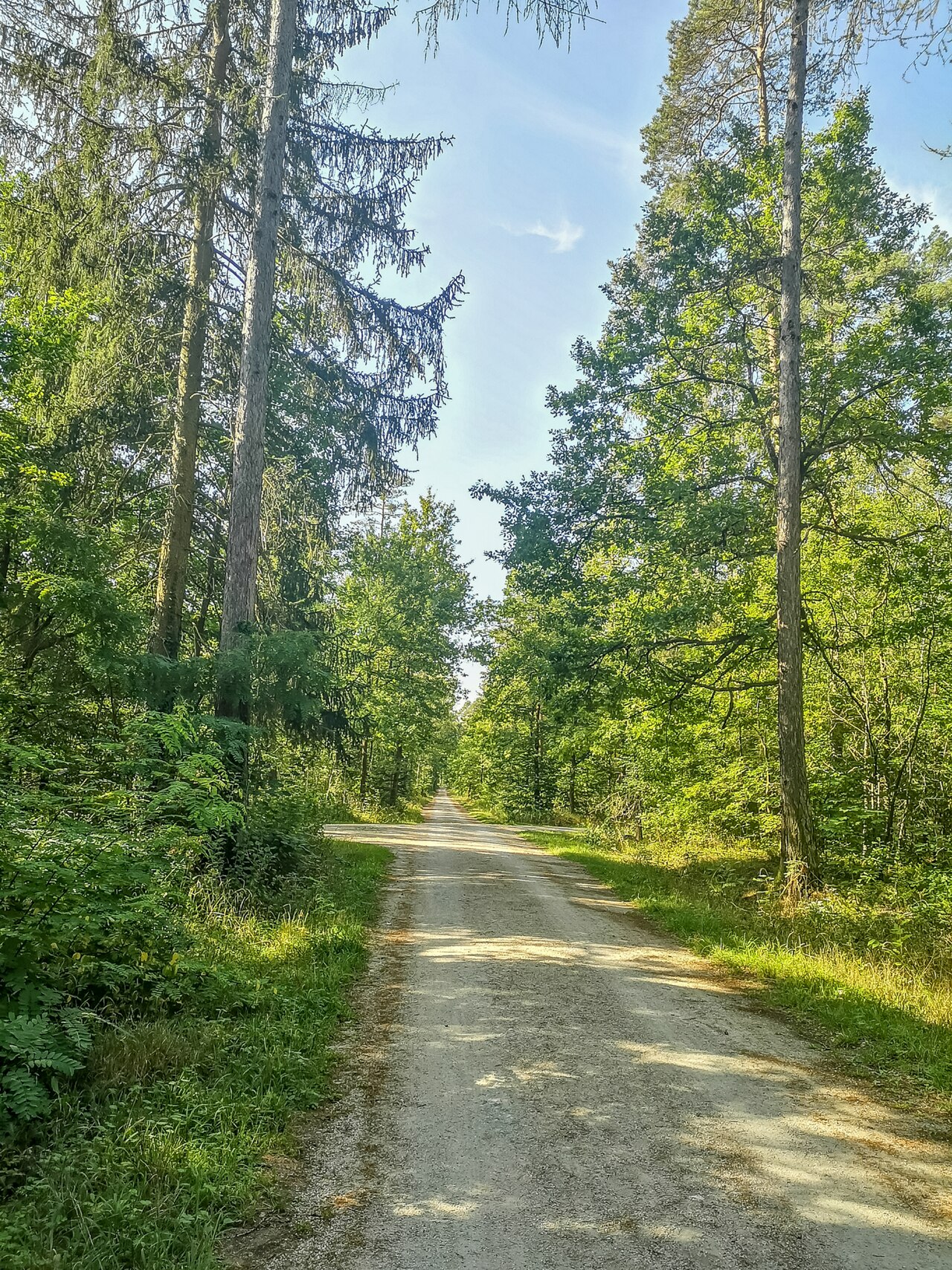 Nürnberg-Buchenbühl, 13. September 2020: Buchenbühler Weg, Blick nach Süden – Ehemaliger Schuttberg/Müllberg am Verkehrsübungsplatz in Nürnberg, Nürnberg
