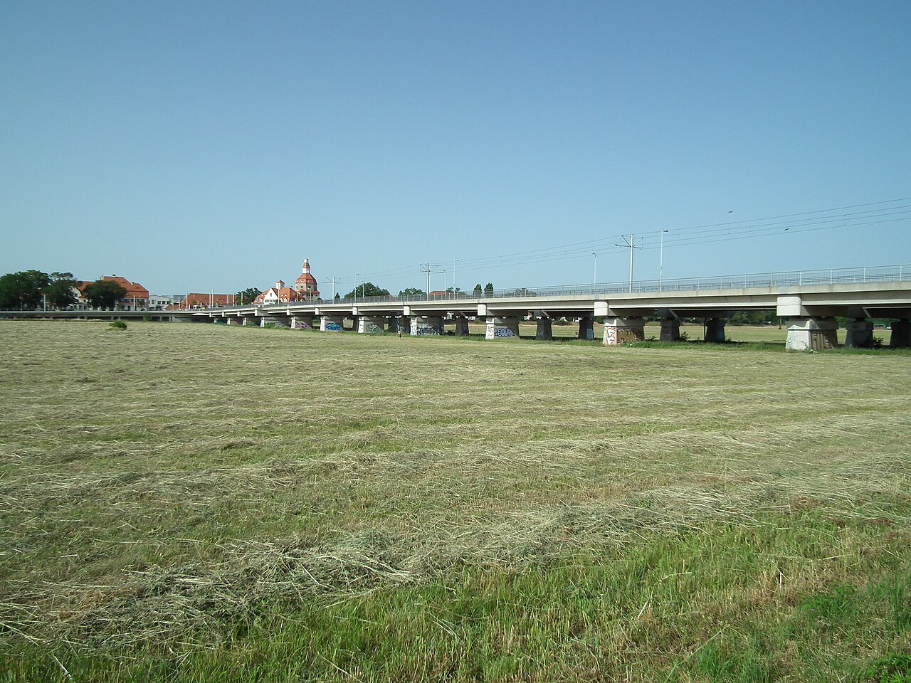 Schlachthofbrücke (Dresden) – Wiese unter der Schlachthofbrücke, Dresden