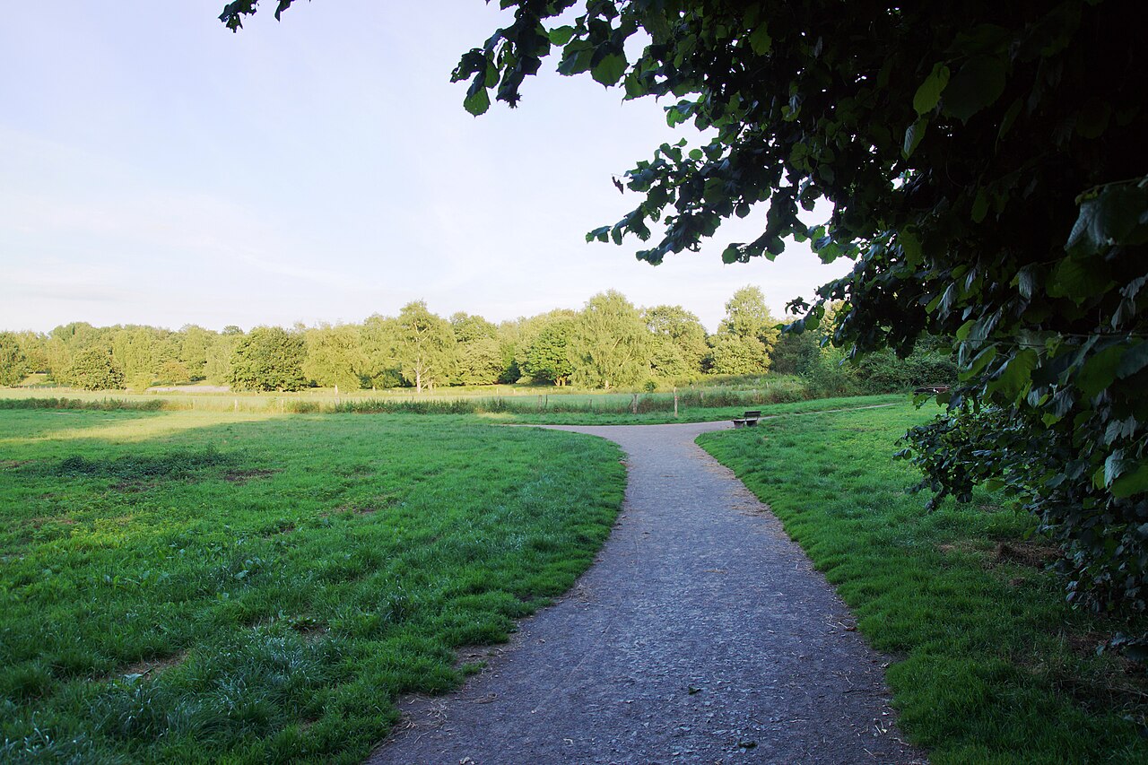 A part of Hilden - Dogs grassland (Hundewiese) – Verein für Deutsche Schäferhunde, Ortsgruppe Hilden