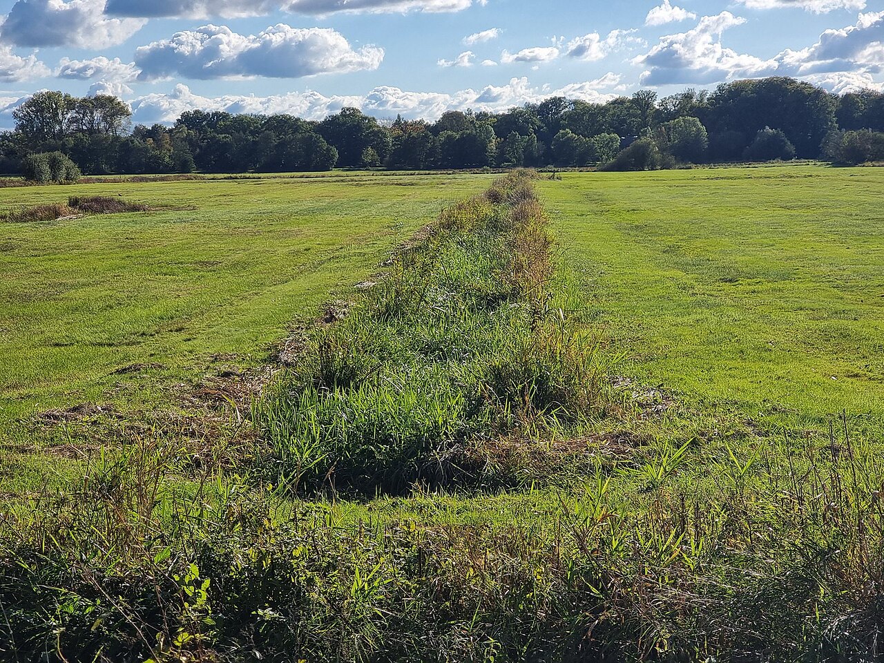 Abzugsgraben von der Landwehr – Spaziergang durch die Borgfelder Wümmewiesen, Bremen