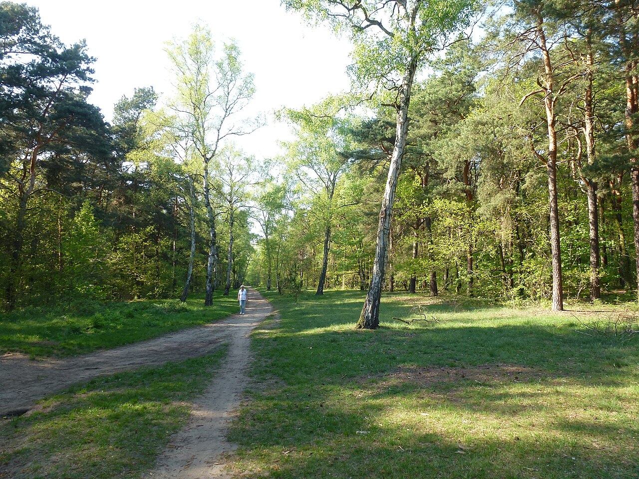 Berlin-Adlershof Birkenweg – Hundesportverein Berlin Adlershof e. V.