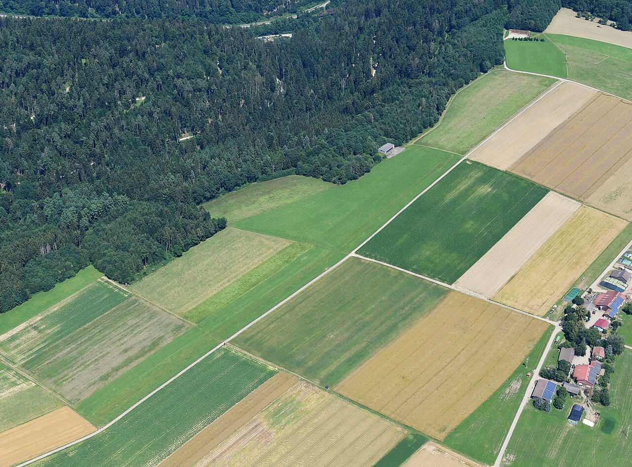 Aerial image of the Wildberg (Kengel) gliding site – Hundesportverein Wildberg und Umgebung e.V.