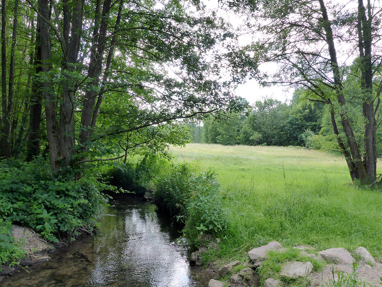 Naturschutzgebiet „Albtal und Seitentäler“ is a nature reserve in Baden-Württemberg, – Naturcamping Albtal