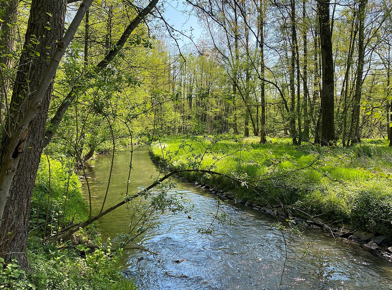 Anger im Naturschutzgebiet Angertal (Heiligenhaus) – Hundewiese Heiligenhaus, Essen
