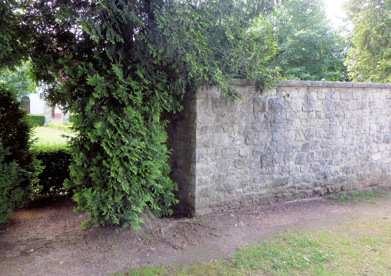Bilderserie zu OSM-Belegmotiven zum Wartburgkreis. Bildmotiv: in Bad Liebenstein befindet – Hundesportplatz Bad Liebenstein
