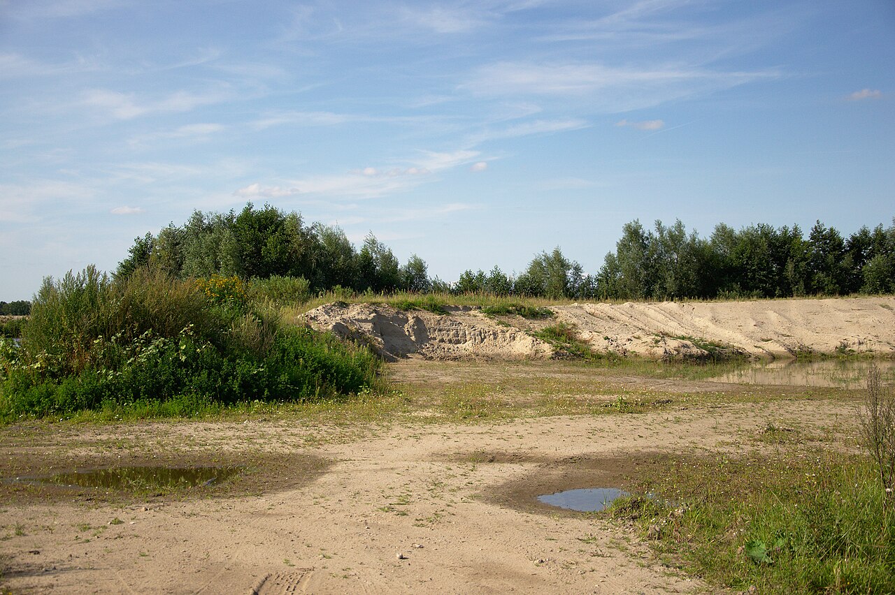 Sand neben Baggersee zwischen Drage und Hunden – Vogelschutzgebiet zwischen Drage und Hunden, Hamburg