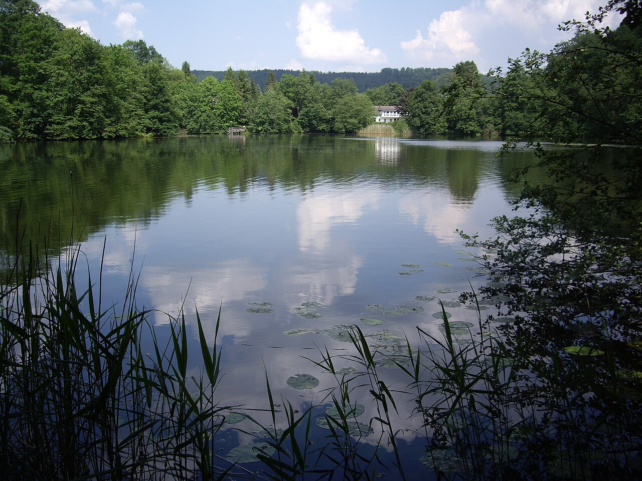Bergsee bei Delliehausen, Landkreis Northeim. Blick vom Westufer nach Osten. – Bergseecamp Delliehausen