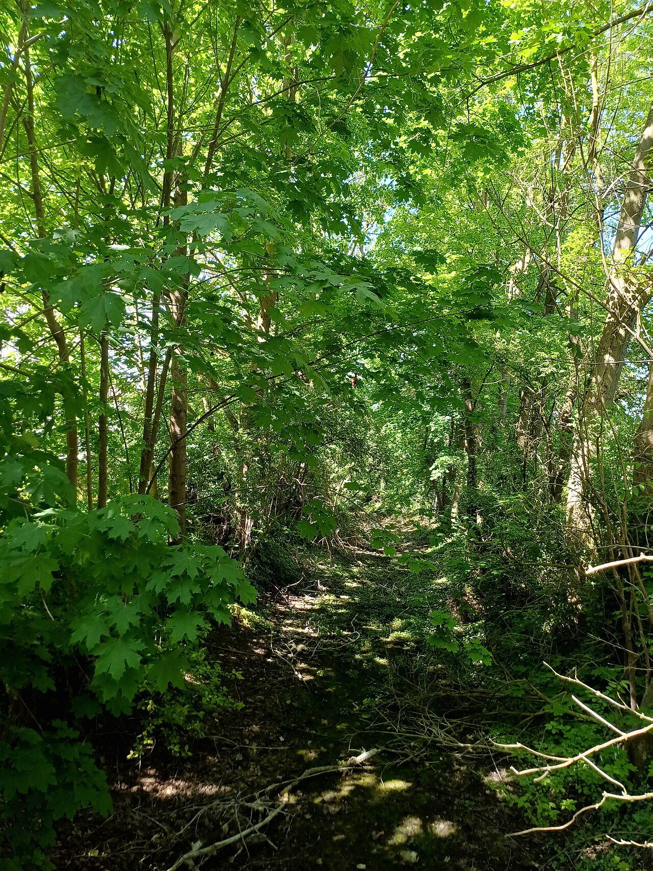 Branntweinbach Hammerschmiede, LB-01585 – Hammerschmiede Heide und Feld, Augsburg