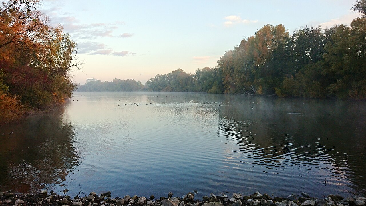 Bruchsee bei Heppenheim frühmorgens im November – Hundefreilaufplatz Heppenheim, Mannheim