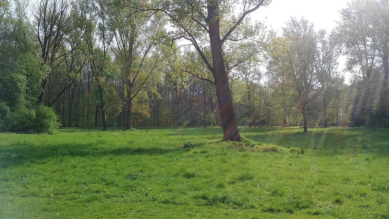 This image was uploaded as part of Wiki Loves Earth 2017. – Hundefreilauffläche Äußerer Grüngürtel Marienburg