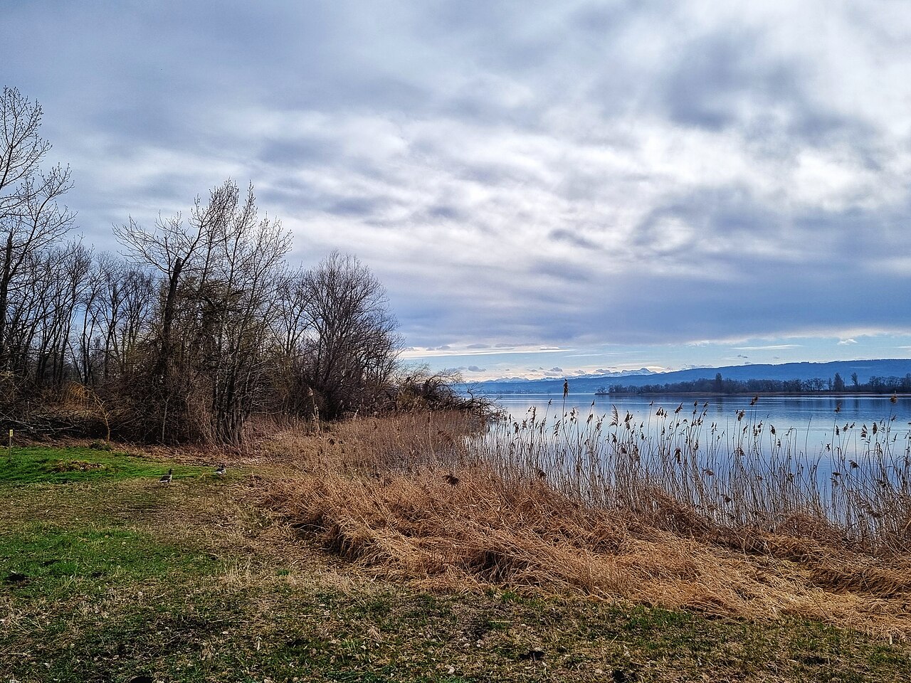 Deutschland - Baden-Württemberg - Landkreis Konstanz - Stadt Radolfzell am Bodensee - – Campingplatz Markelfingen