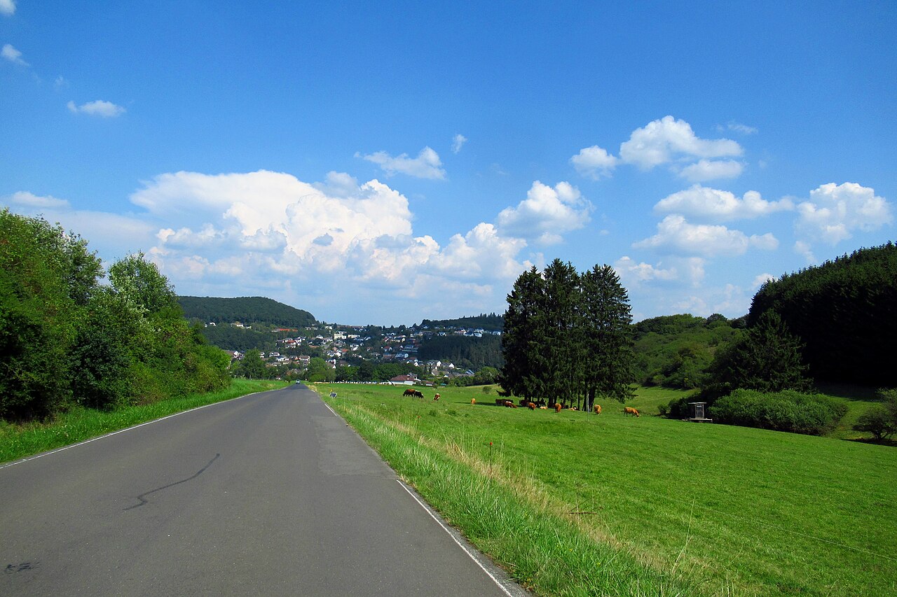 Daun: Die Wildparkstraße in der Gemarkung Pützborn. – Wild- und Erlebnispark Daun