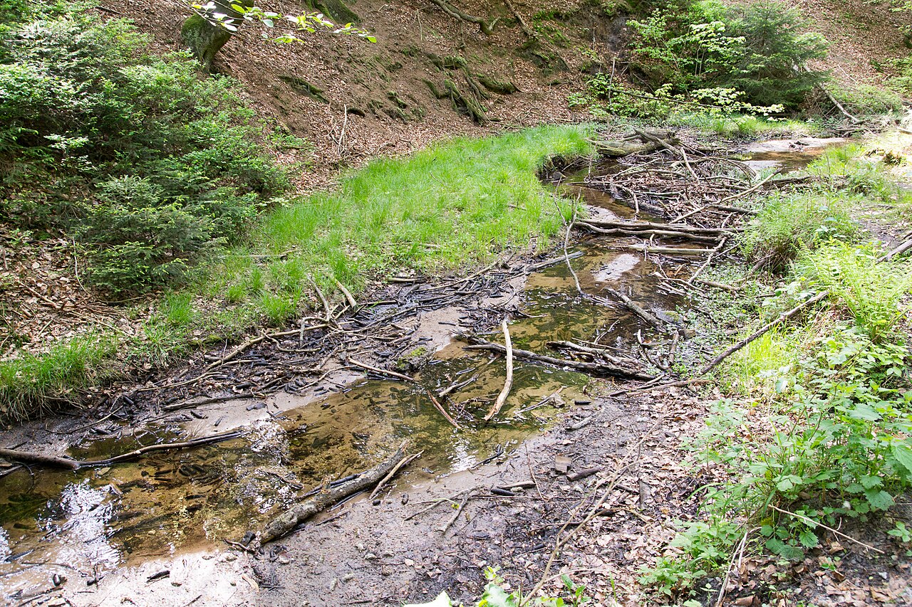 Naturschutzgebiet LIP-015 Donoperteich-Hiddeser Bent, Hasselbach zwischen Krebsteich und – Donoperteich und Hasselbachteich, Bielefeld