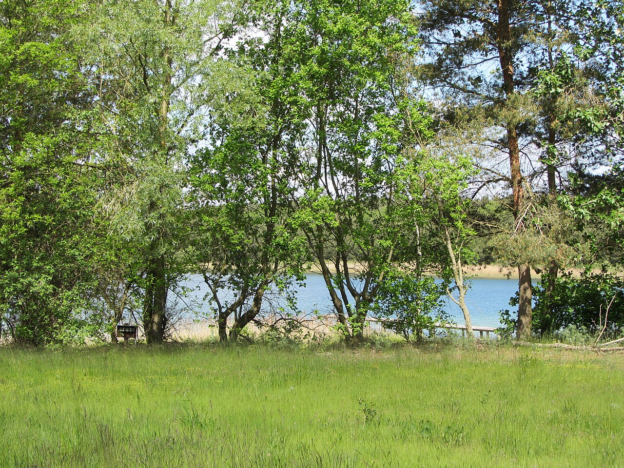 Lake in Dreenkrögen, district Ludwigslust-Parchim, Mecklenburg-Vorpommern, Germany – Campingplatz Silbersee Dreenkrögen