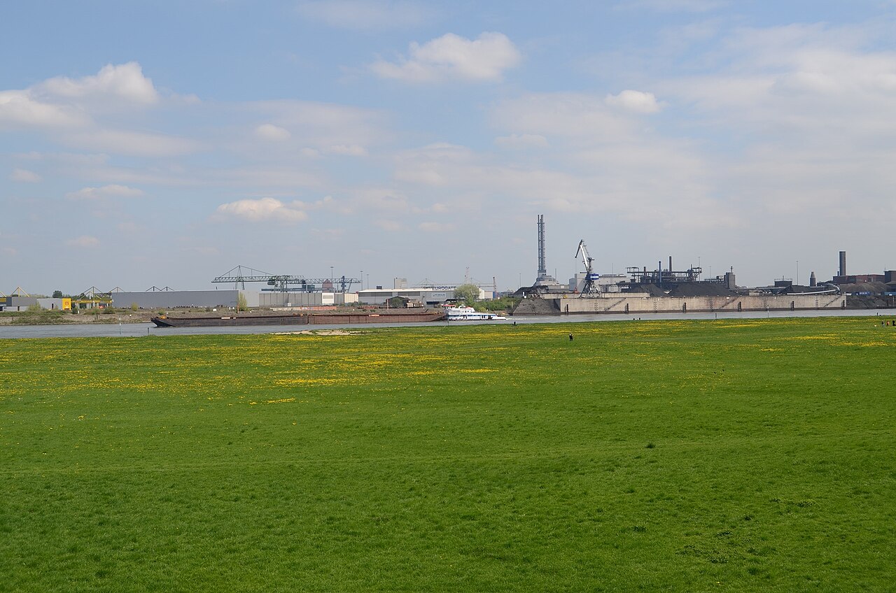 Duisburg (North Rhine-Westphalia, Germany) – borough Rheinhausen, district Hochemmerich – – Wäldchen am Rhein, Düsseldorf