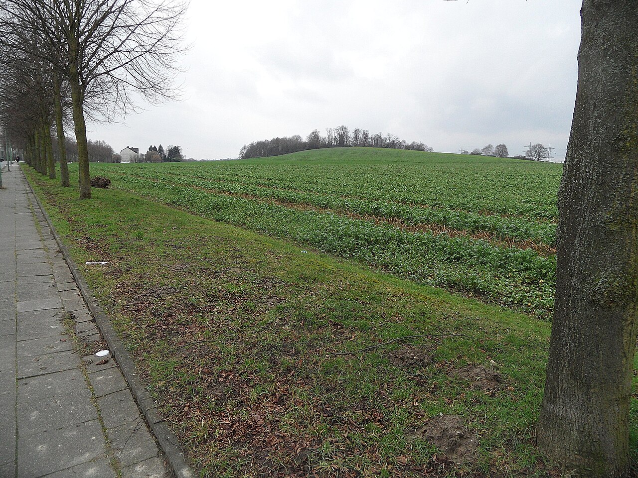 Essen-Kray: Mechtenberg, Ostansicht; Januar 2018 – Mechtenberg, Dortmund