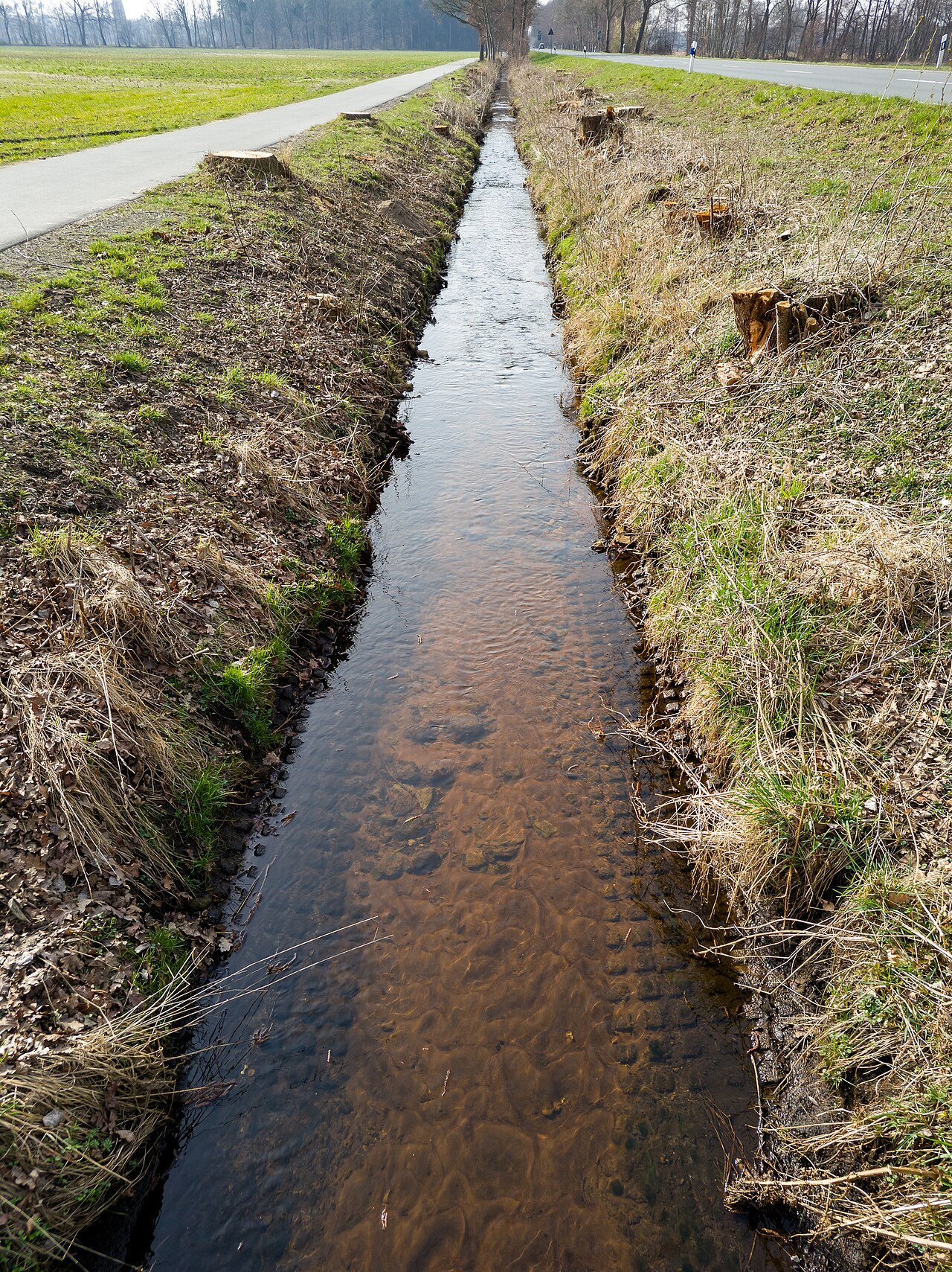 Impressionen vom Fünf-Bäche-Weg in Hövelhof – Hundefreilauf der Gemeinde Hövelhof, Bielefeld