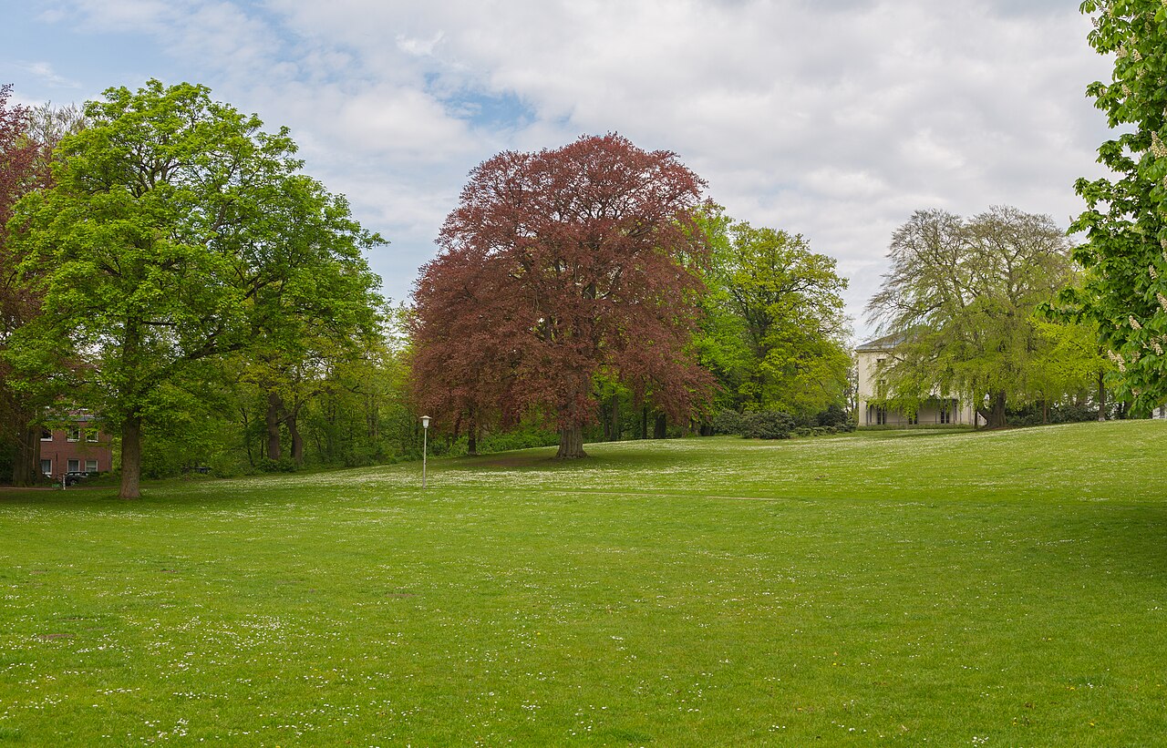 At Hesse Park (Hessepark) in Blankenese, Bezirk Altona, district of Hamburg, Germany. The – Hundewiese im Hessepark, Hamburg