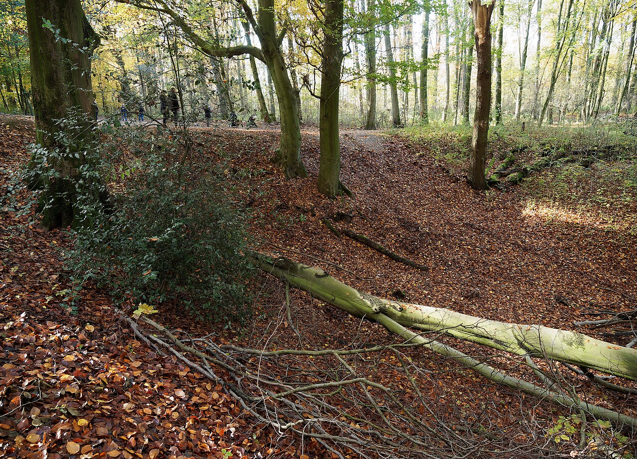 Herne, Landschaftsschutzgebiet in Herne-Holthausen, Gysenberger Wald, Ruhmbachquelle – Revierpark Gysenberg, Essen