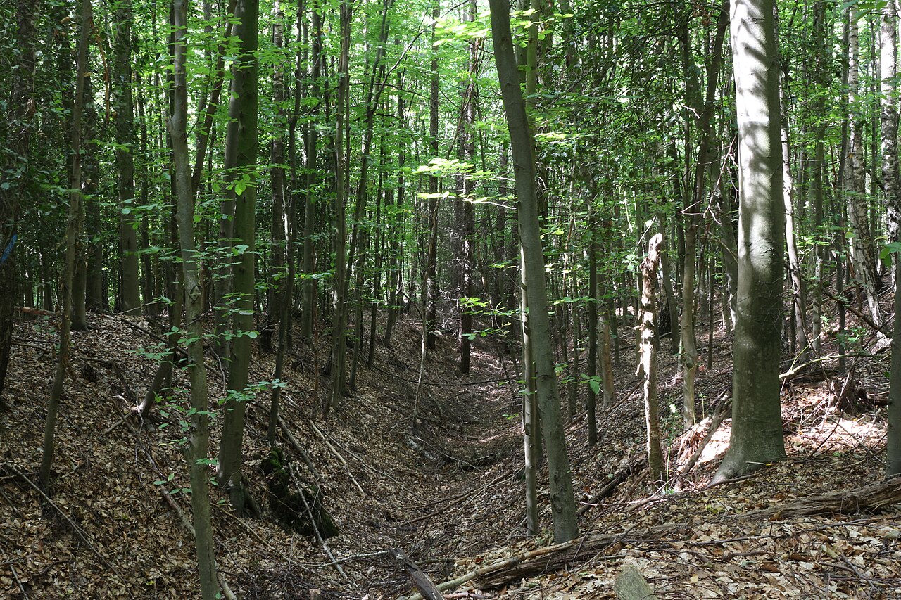 Hohlweg am Hölenderweg ("Hilinciweg") oder auch "Kleiner Hellweg") , Eggerscheidt, – Papierfabrik Ratingen, Essen
