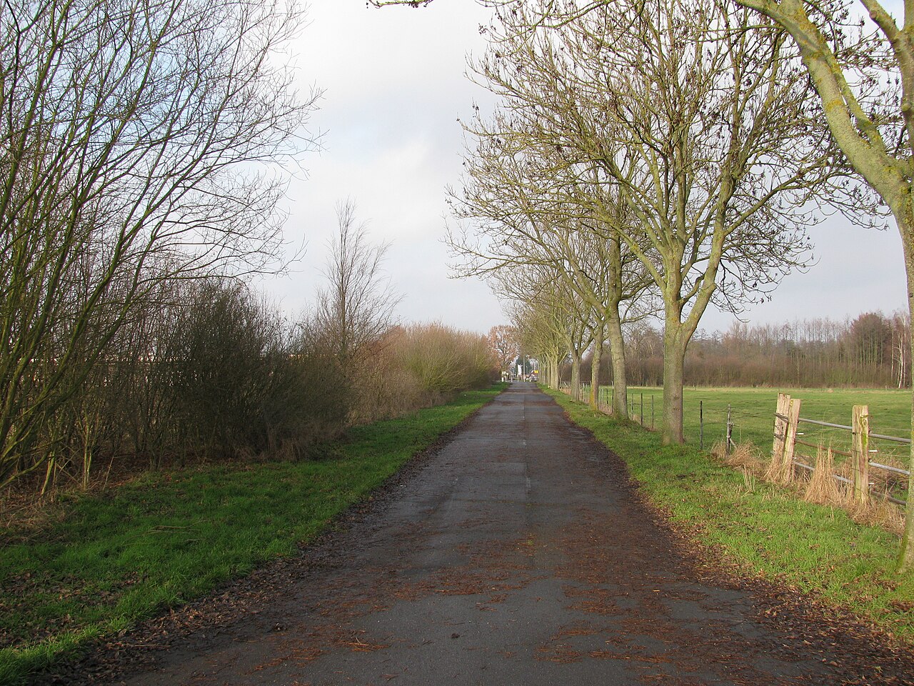 alter Verlauf der Straße Im Großen Felde in Peine – Boxer-Klub Peine e.V.