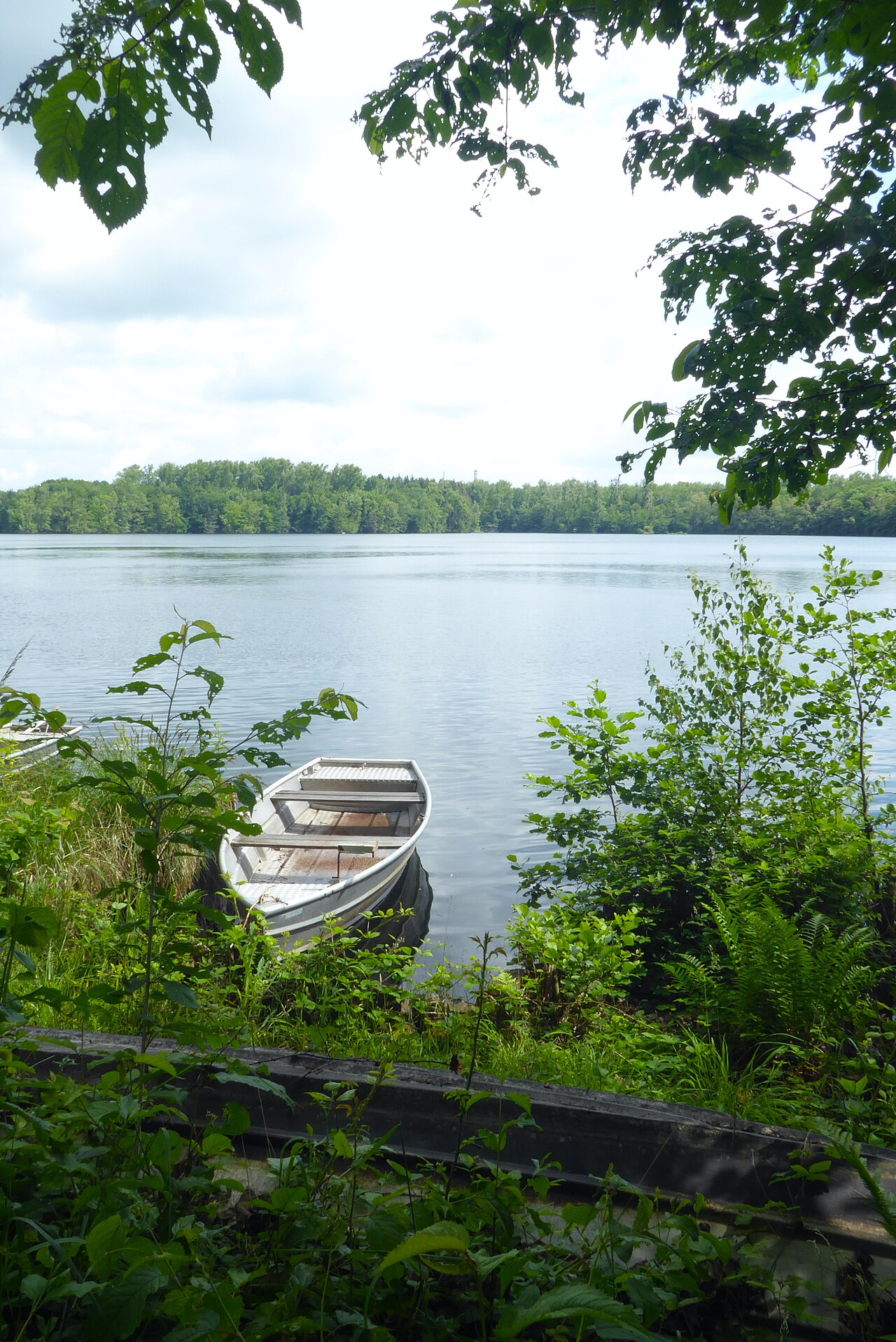 Foto vom Köttiger See in Erftstadt im Landschaftsschutzgebiet, am Ufer ein Boot. – Rundweg Köttinger See, Köln