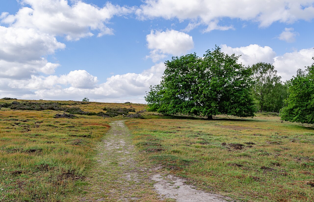 Krefeld (North Rhine-Westphalia, Germany) – district Traar – hill “Egelsberg” – heath – Egelsberg Mühle, Traar, Düsseldorf