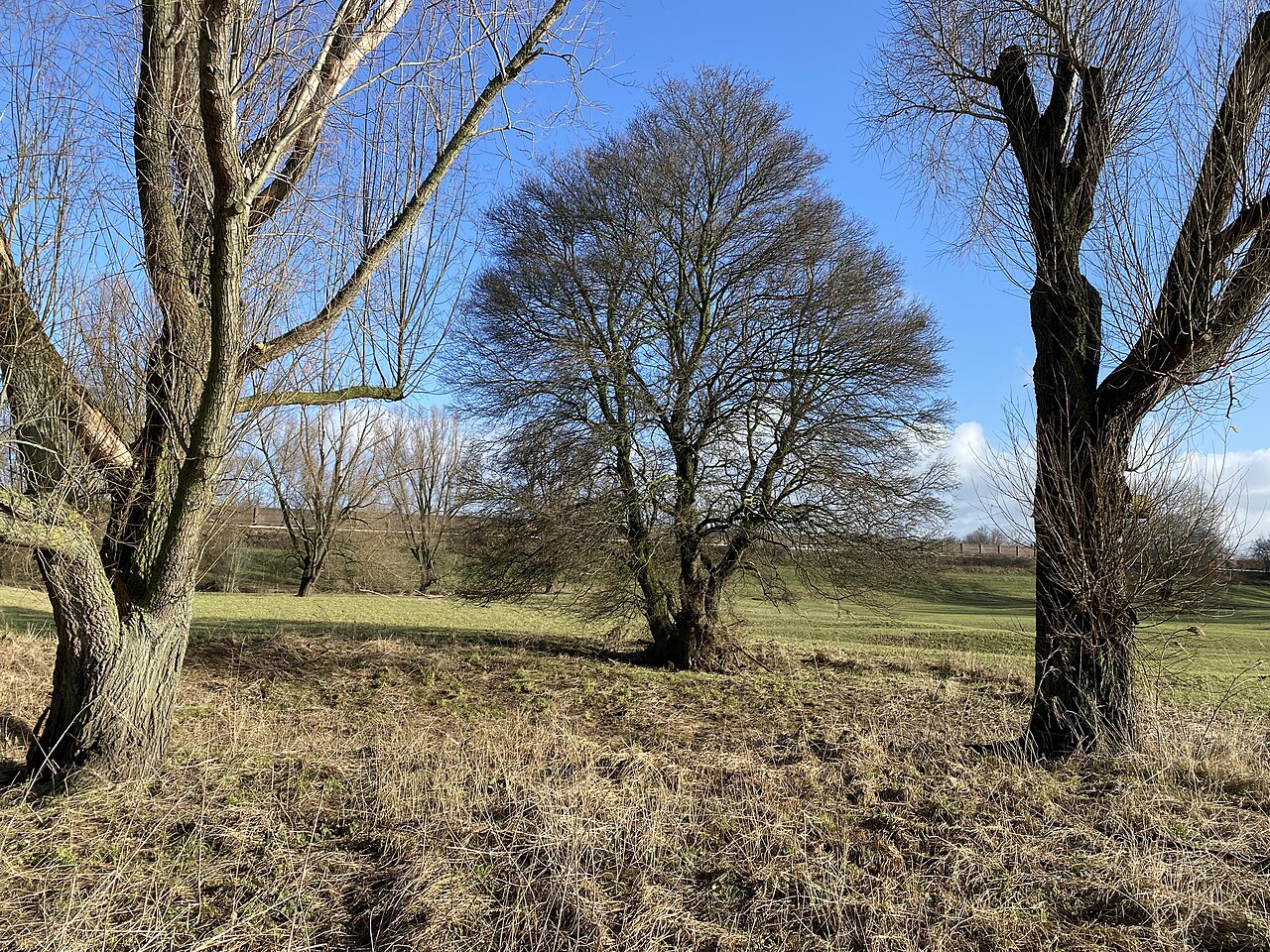 Landschaftsschutzgebiet Rheinaue (Leverkusen) – Rheinaue (Langel/Rheinkassel), Düsseldorf