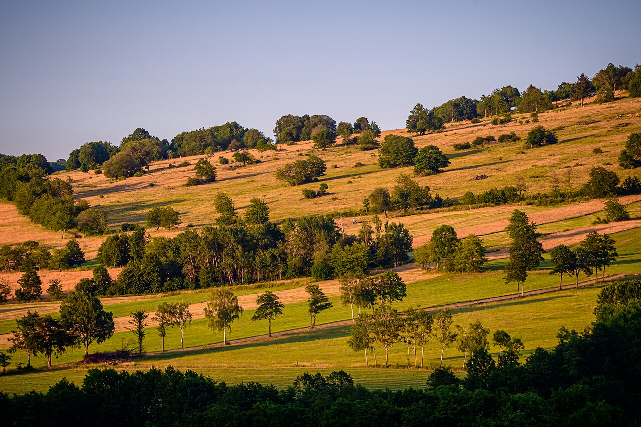 Landschaft der langen Rhön – Rhön Camping Park