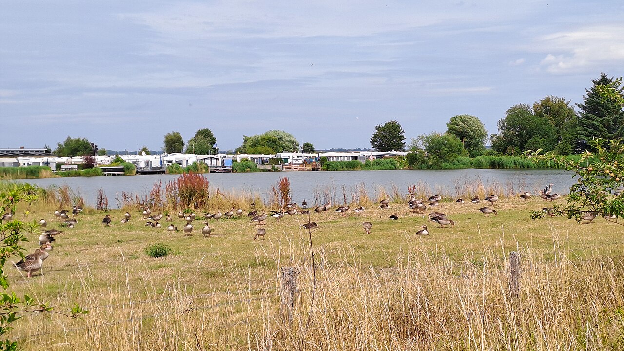Langballigau – Camping Langballigau