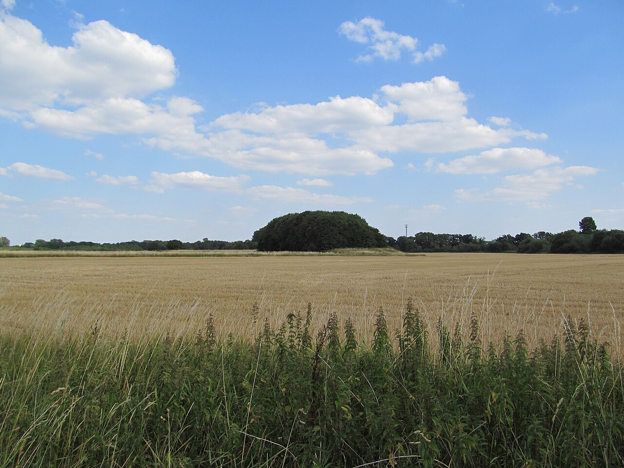 Blick von dem Verbindungsweg von Seelze nach Marienwerder nach Südosten in die – Leine Feldwege und Wiese, Hannover
