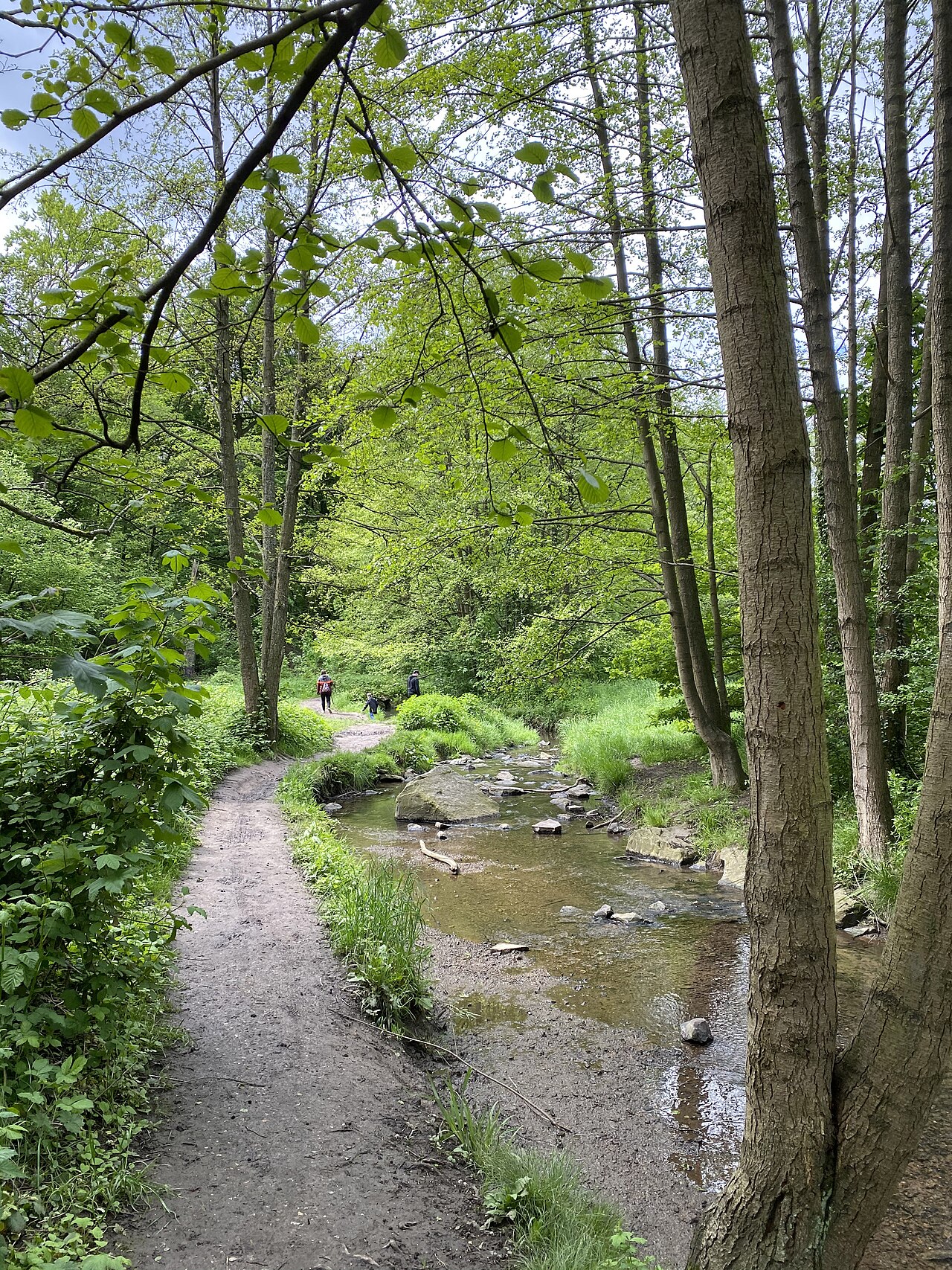 Lochbachtal (Nähe Wallstraße) – Lochbachtal, Düsseldorf