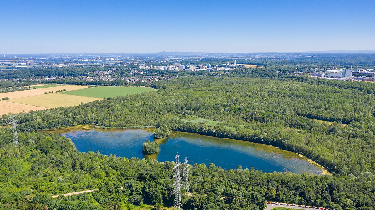 Luftbild vom Hürther Waldsee (Theresiasee) in Hürth, Deutschland – Kloster Burbach - Naturschutzgebiet Hürther Waldsee, Köln