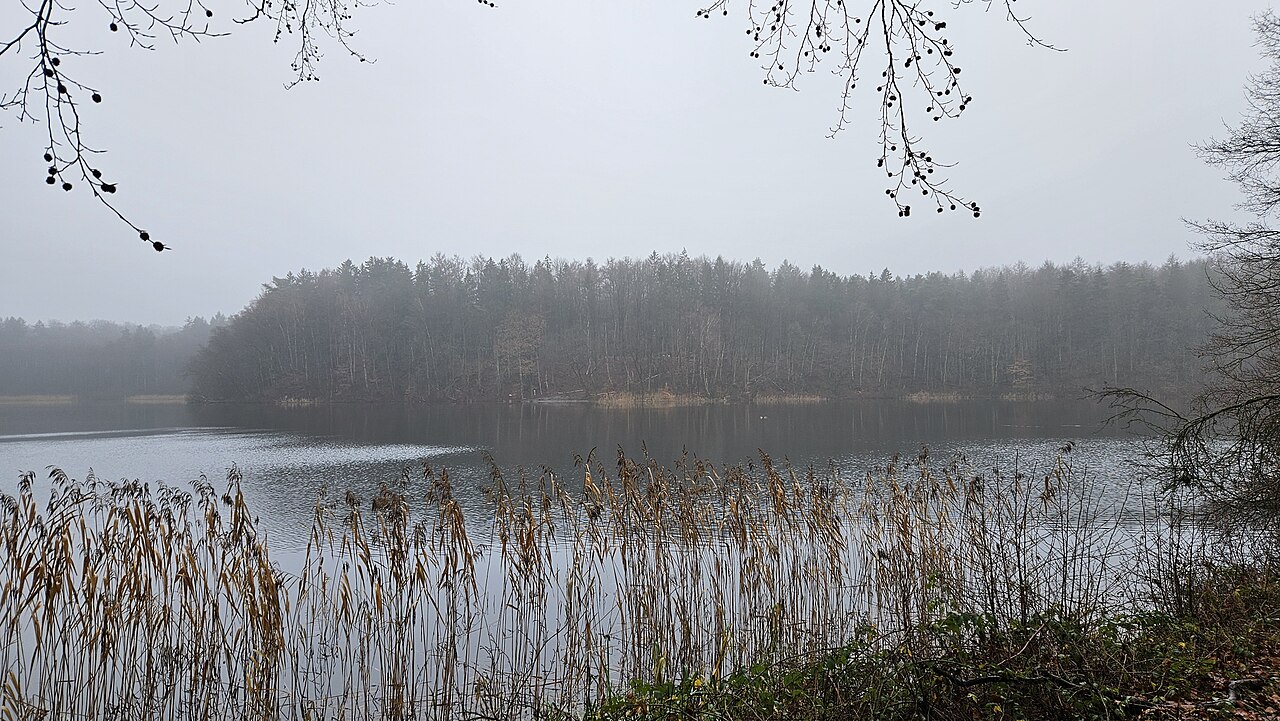 Blick auf den Mönchteich im Dezember 2024 – Mönchsteich, Hamburg