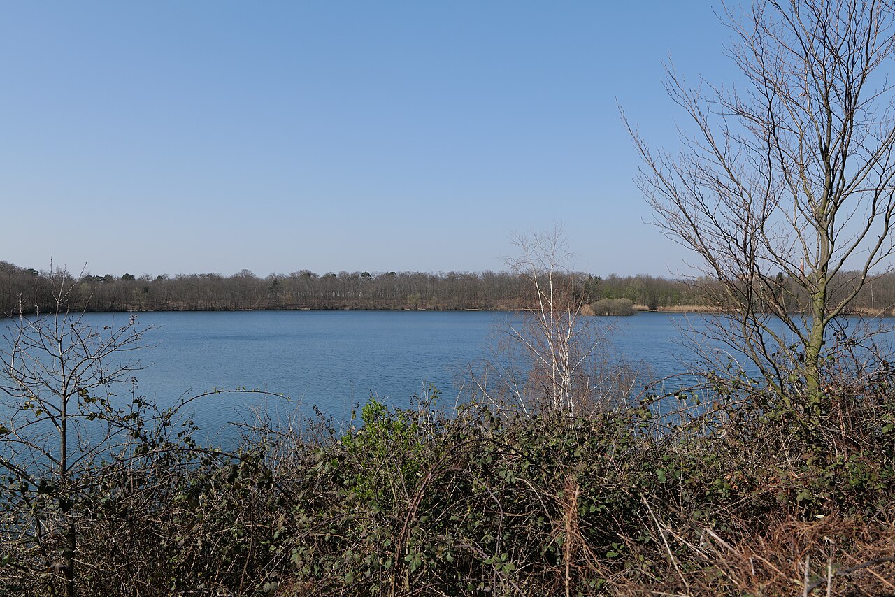 Mönchwaldsee vom Süden aus am 27. März 2020. – Mönchwaldsee, Wiesbaden