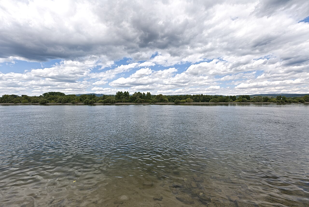 Mariannenaue from the southern bank of the Rhein. – Heidenfahrt am Rhein, Wiesbaden