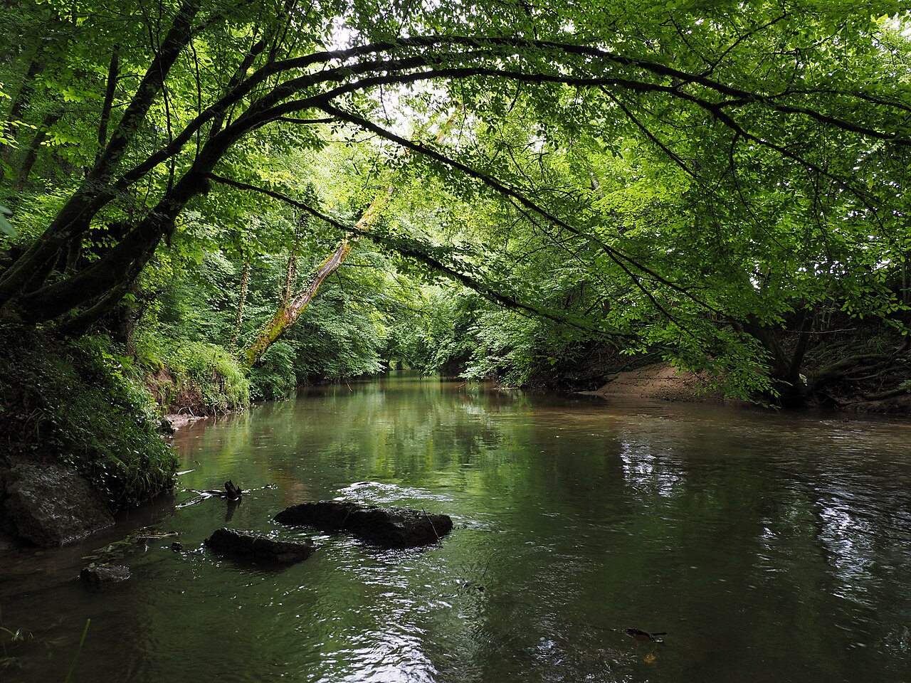 Murr zwischen Backnang und Zell.
Blick Richtung Zell, d.h. flussaufwärts – Zell an der Murr, Stuttgart