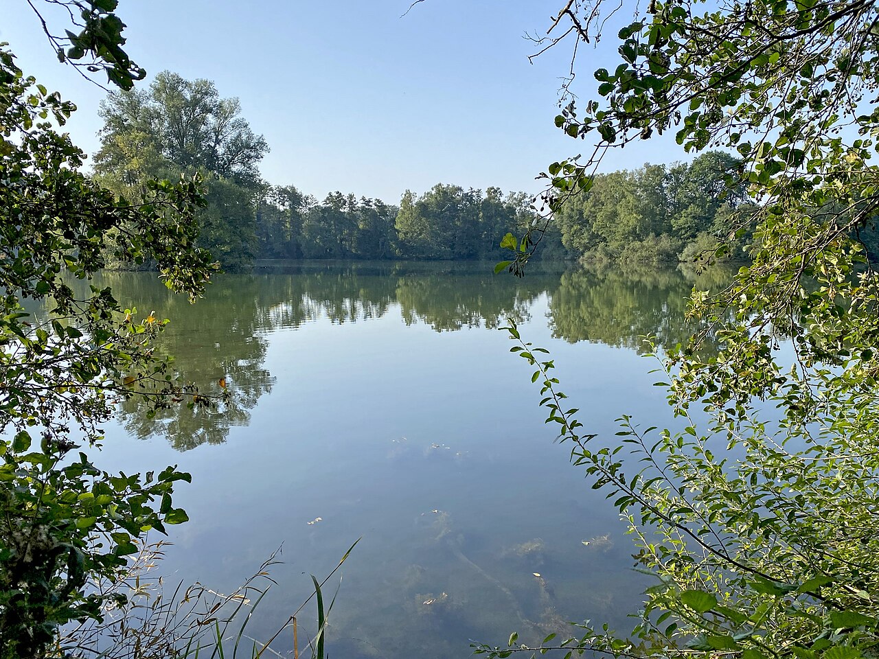 Weg im Nordosten im Naturschutzgebiet Ratinger Waldsee – Ratinger Waldsee, Essen
