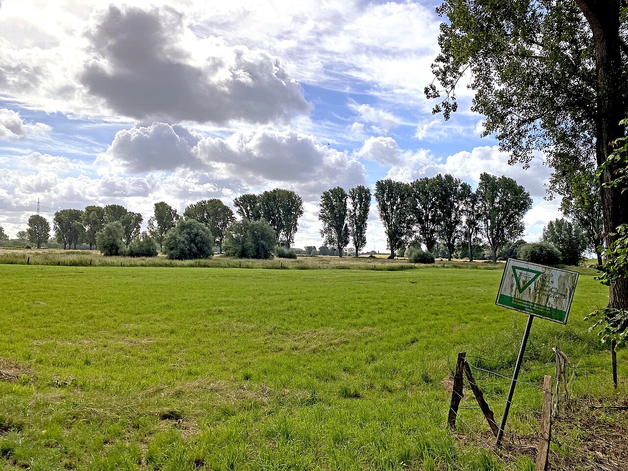 Naturschutzgebiet  Zonser Grind – Am Grind, Düsseldorf