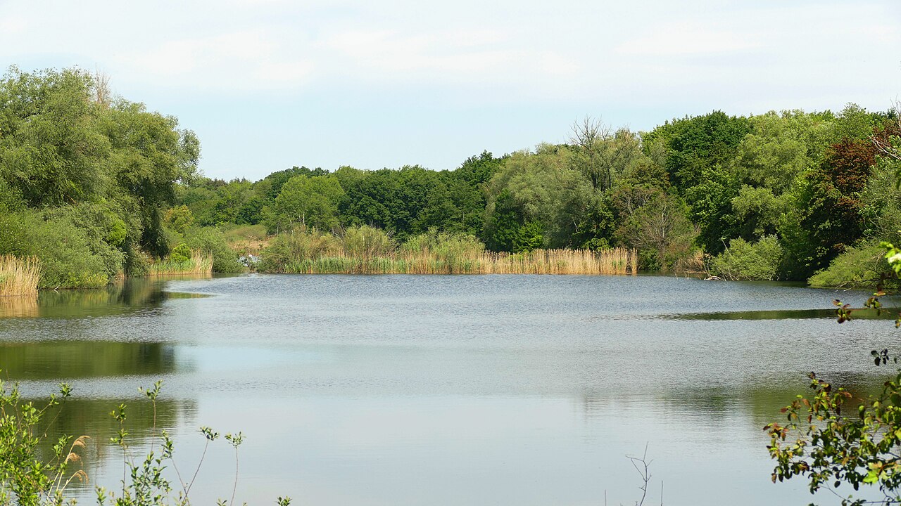 Naturschutzgebiet Enkheimer Ried in Frankfurt, Riedteich – Wald Bergen Enkheim, Frankfurt am Main