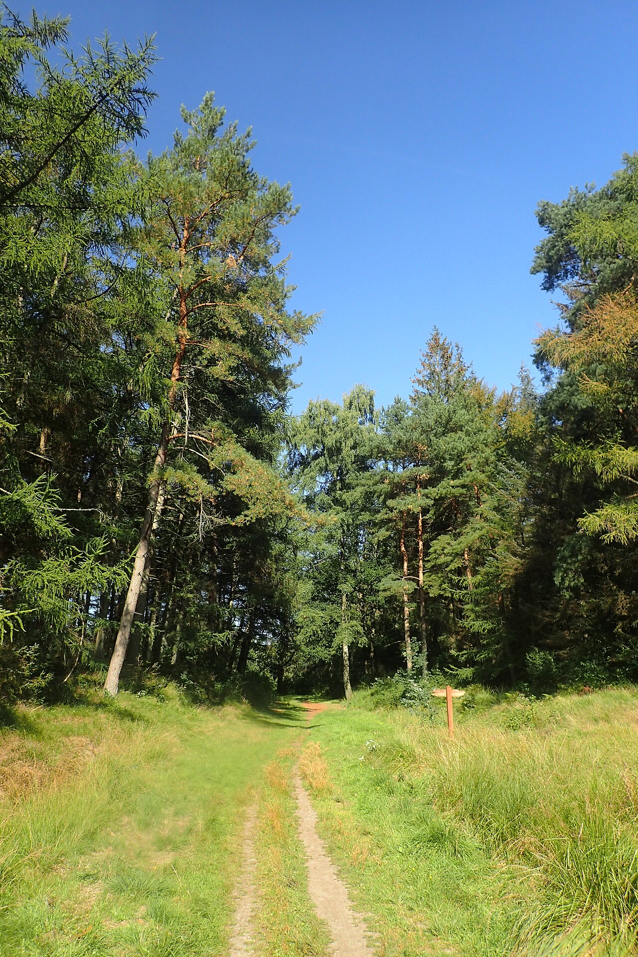 Ochsenweg Leck – Hundefreilauf Leck