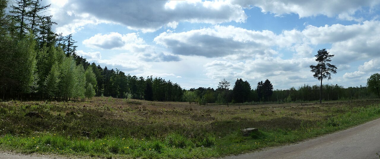Ohligser Heide – Ohligser Heide, Düsseldorf