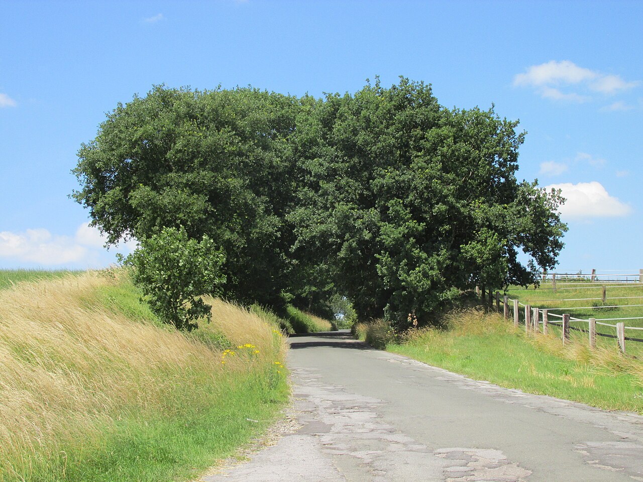 hohlwegartiger Einschnitt der Ostberger Straße in Dortmund unmittelbar südlich vom Gut – Ostberger Feldweg, Dortmund