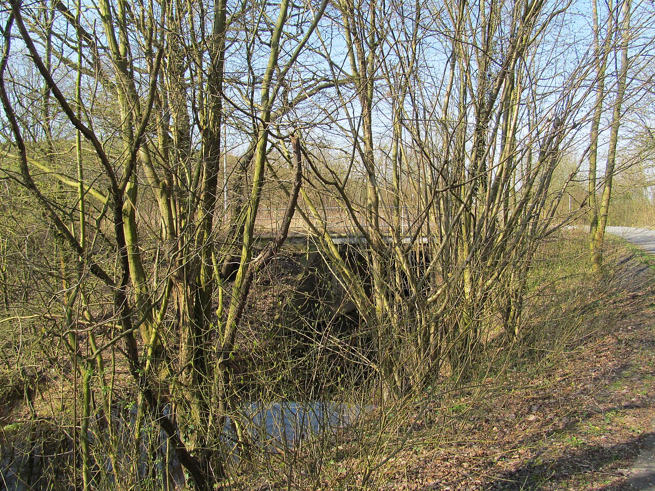 der Pelkumer Bach südlich der Straße Deutzholz und der Zechenbahn in Hamm-Pelkum – Pelkum, Dortmund