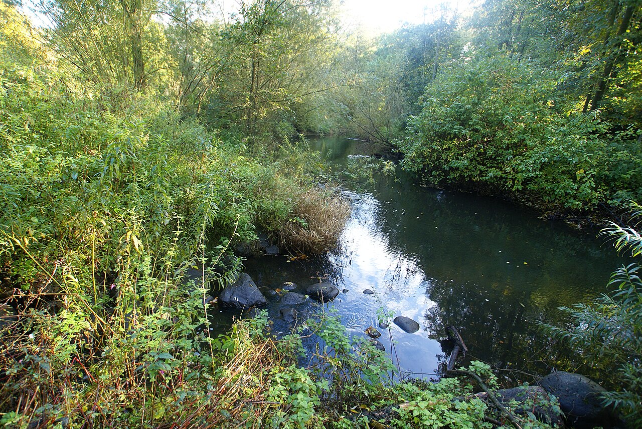 Hamburg (Poppenbüttel),  Germany: Confluence of the river Minsbek (left) and the – Alsterwanderweg/Minsbek, Hamburg